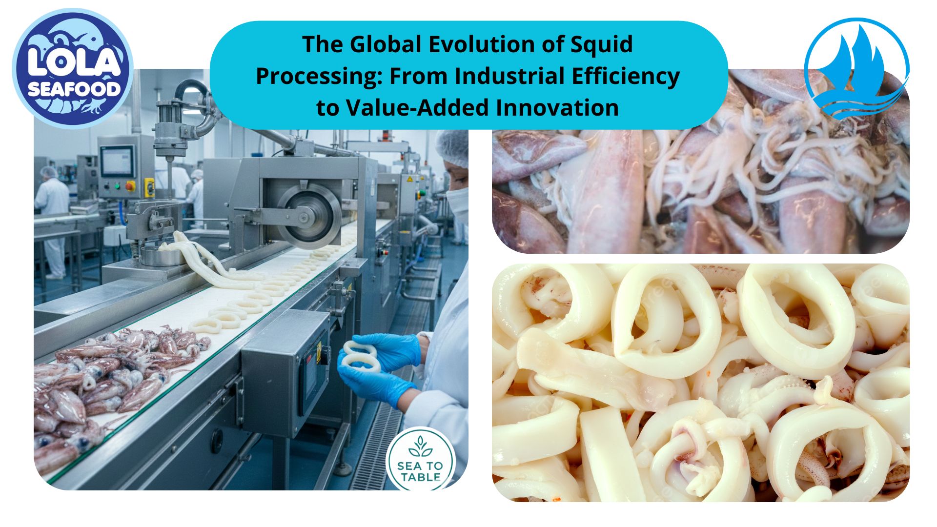 The Global Evolution of Squid Processing: From Industrial Efficiency to Value-Added Innovation